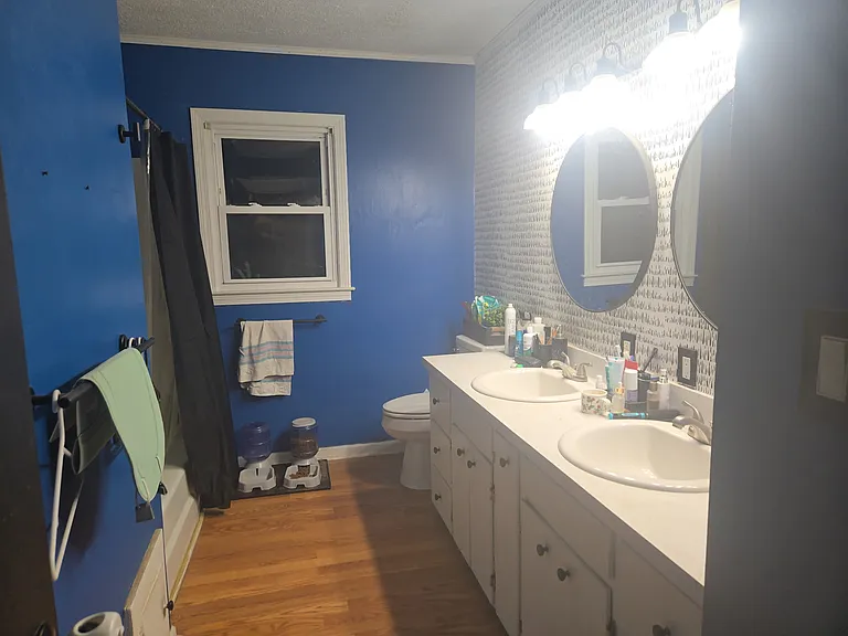 Bathroom (double sink)