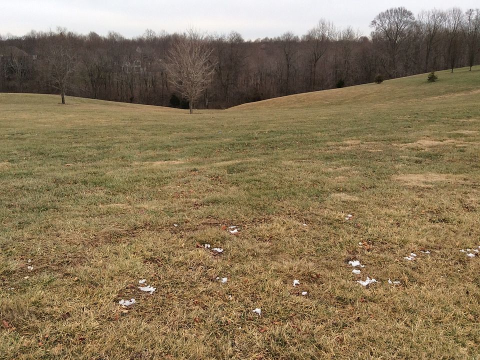 2nd image of 965 Hidden Meadows Dr