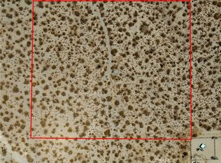 1 Wintergreen Rd, Pinon Hills, CA 92372