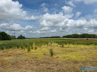 54 Acres Hwy #207, Anderson, AL 35610