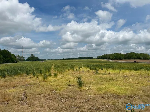 54 Acres Hwy #207, Anderson, AL 35610