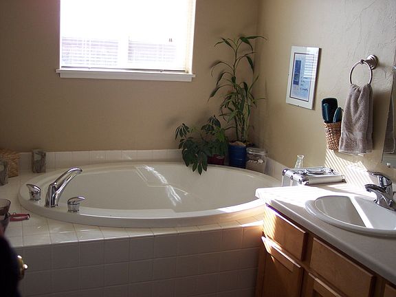 Soaker Tub/Double Sinks in Master Bath