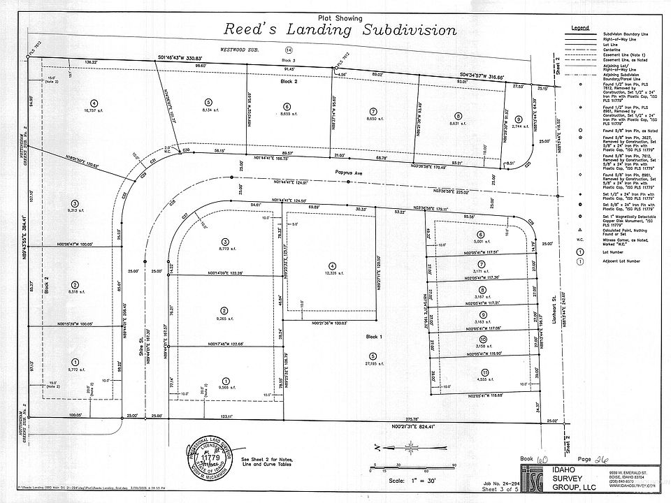 1st image of 342 Papyrus Ave