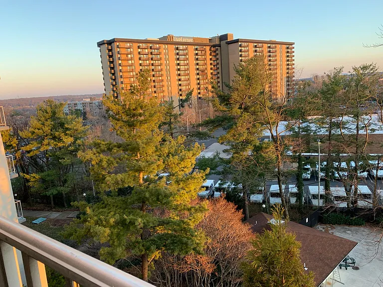 View from the balcony
