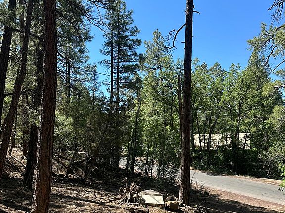 4th image of 230 W Pine Shadow Dr