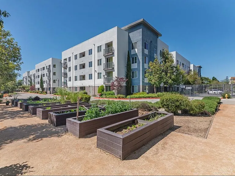 Charlotte Park — Photo 15