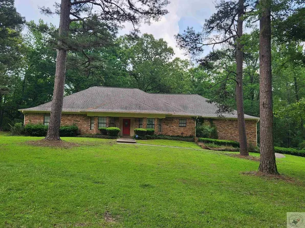 717 Woodland Lake Dr, Atlanta, TX 75551