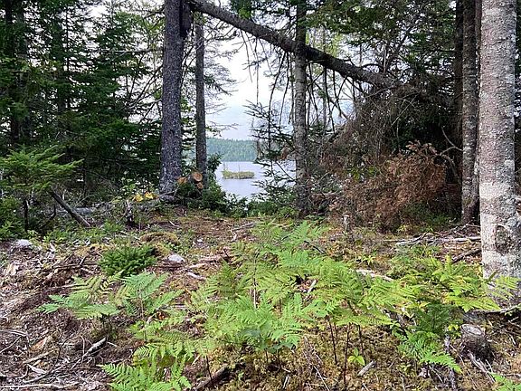 4th image of Longbridge Lake Lot 8C