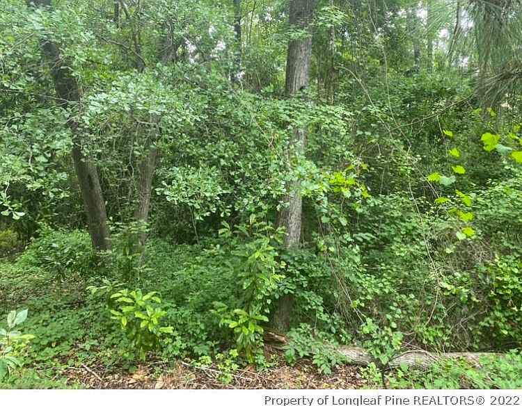 1st image of 322 Moss Pink Dr