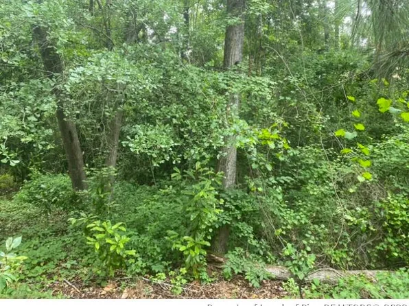 322 Moss Pink Dr, Vass, NC 28394