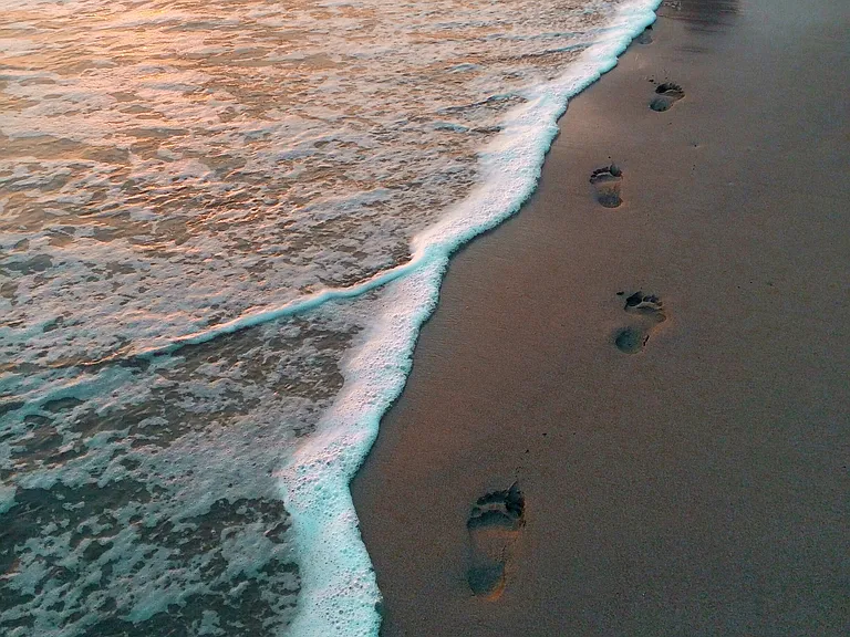 NOVA — Photo 8