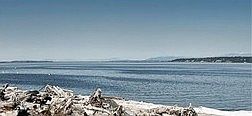 Community Beach