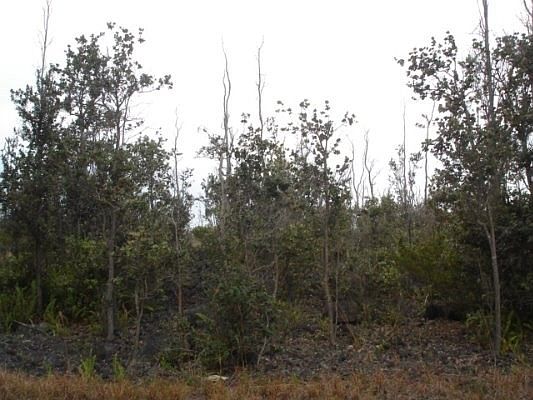 2nd image of Ocean View Pkwy Lot 3