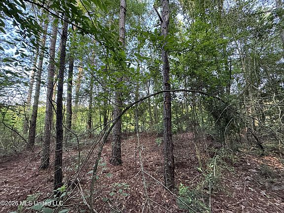 4th image of N Lot 1 River Rd