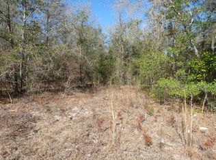 0 NE 111th St, Bronson, FL 32621