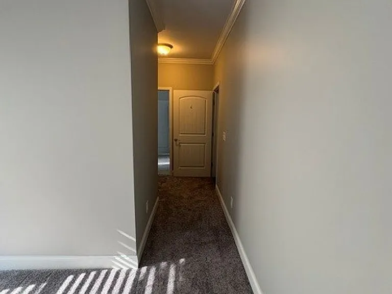 183 Dayflower Dr — Photo 18