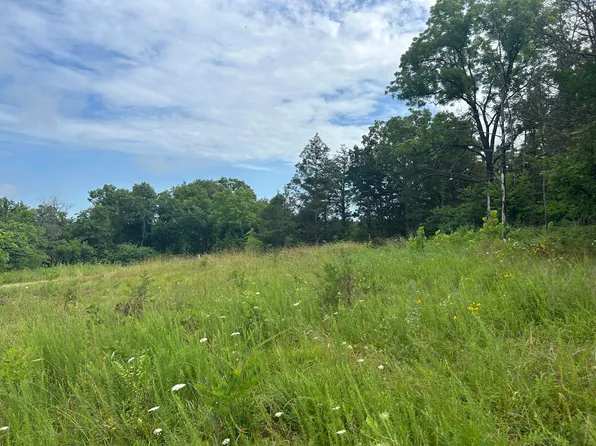 000 County Road Y-521, Ava, MO 65608