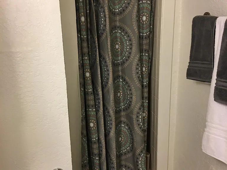 Shower curtain