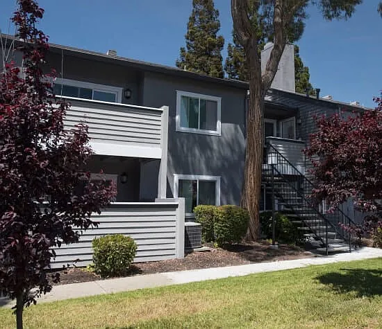 Mountain View Apartments — Photo 6