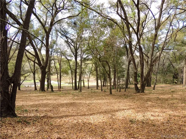 0 Piney Ridge Blvd, Fruitland Park, FL 34731