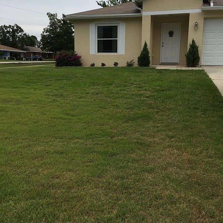 Front Yard