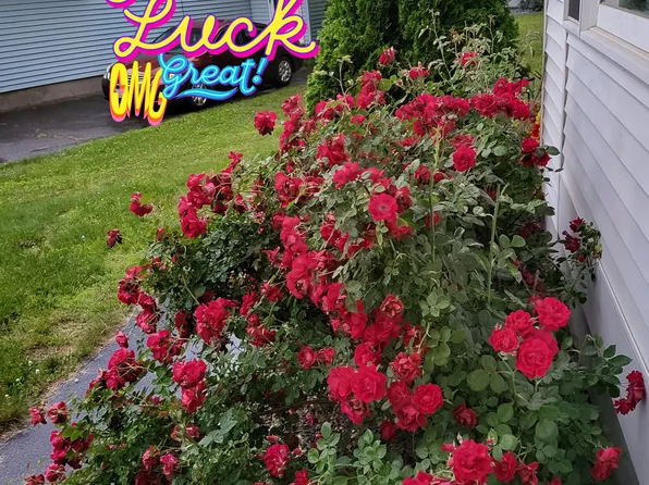 26-28 Wedgewood Cir #1, Springfield, MA 01129