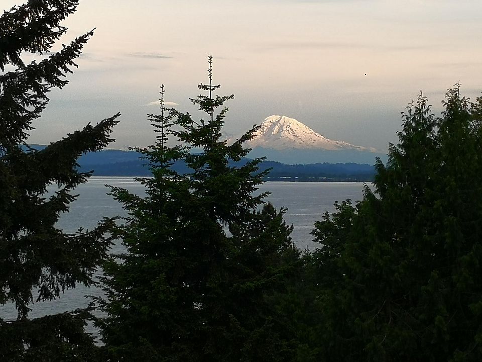 View of Mt Rainer