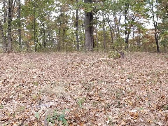 4th image of Tract 5 Creekwood Lane
