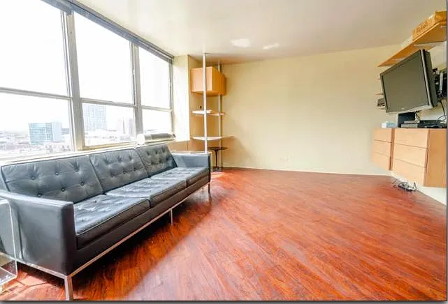 655 W Irving Park Rd #1209 — Photo 11