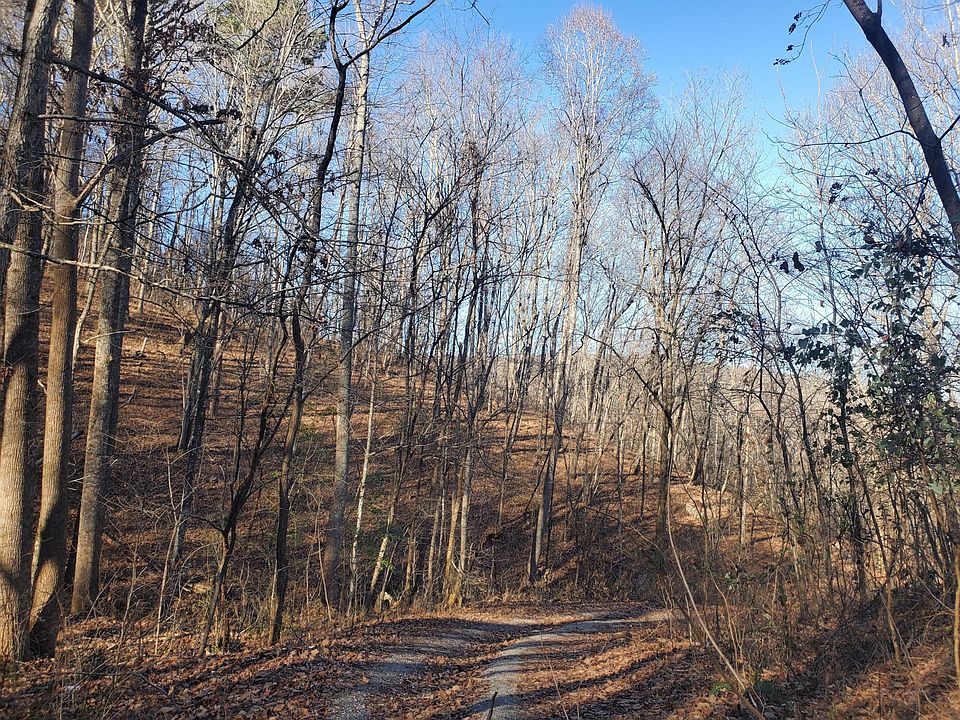 1st image of 0 Daus Mountain Rd