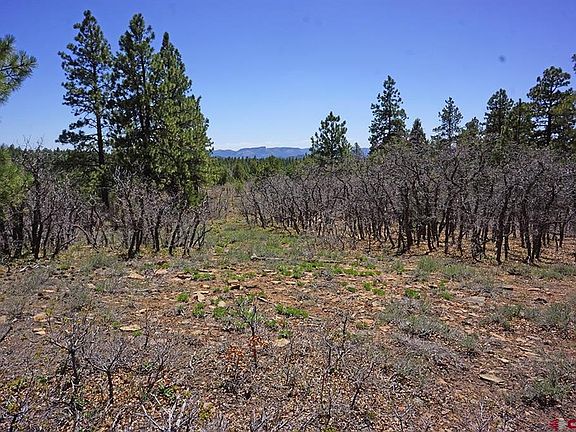 5th image of 6 TBD Road T.7