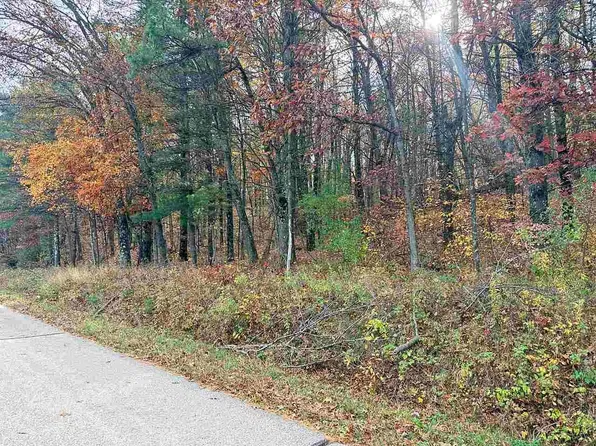 N9858 W Hill Rd, Iola, WI 54945