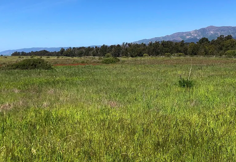 337 Pebble Beach Dr — Photo 20