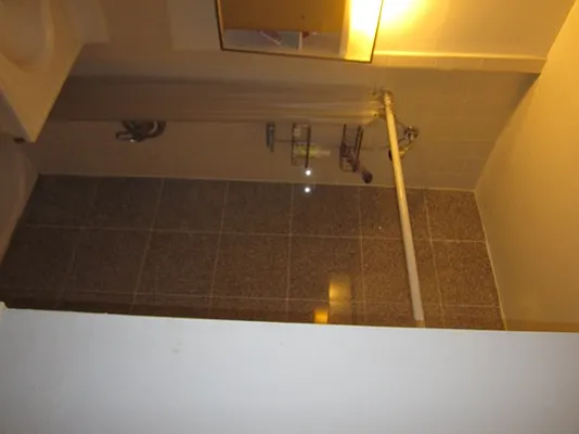 Rented by Elinor Taasa, LREB | media 21