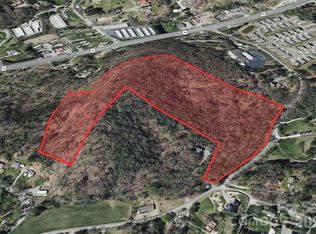 49 Reeds Creek Rd, Fairview, NC 28730