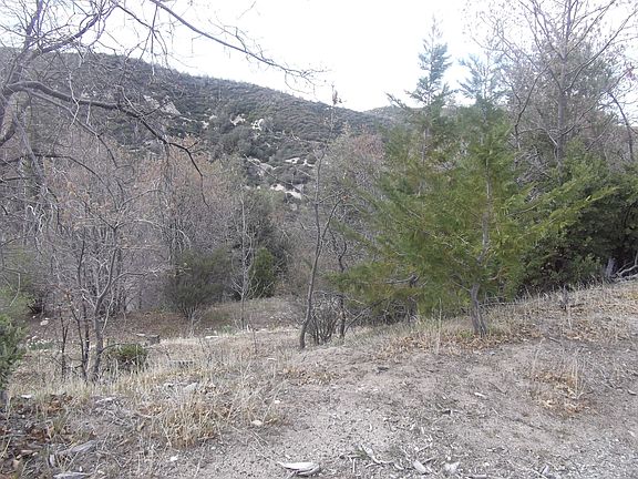 4th image of 29696 Hickory