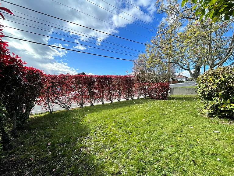 Front Yard