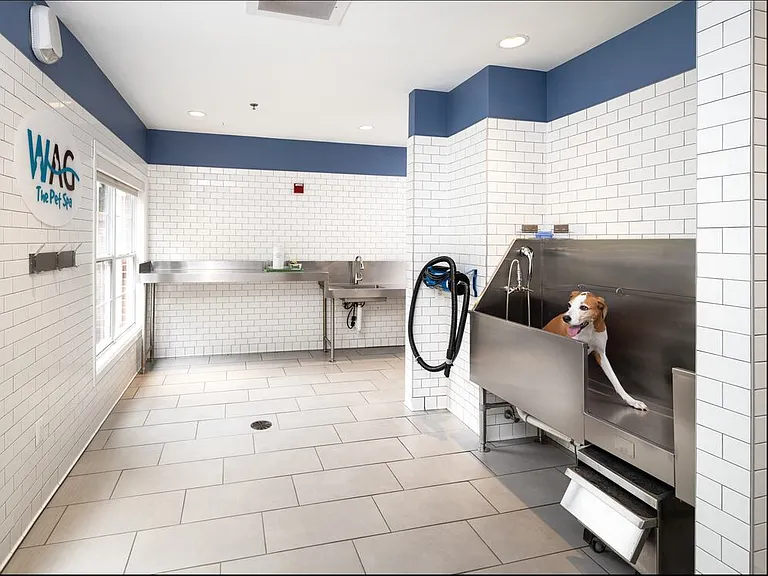 WAG pet spa