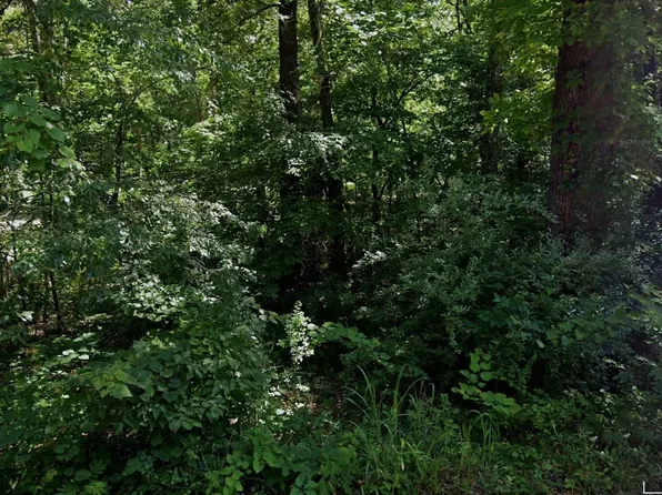 Enid Dr, Cherokee Village, AR 72529