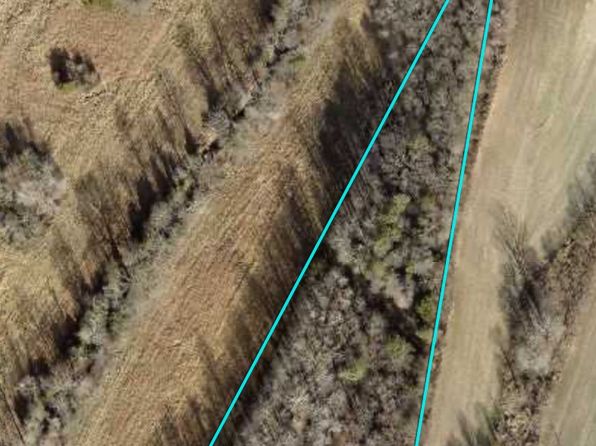103 Williams Ln, Greenville, KY 42345