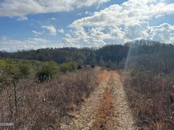 0 Leatherwood Rd, Sevierville, TN 37876
