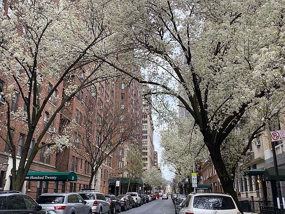 2nd image of 109 E 89th St #2G