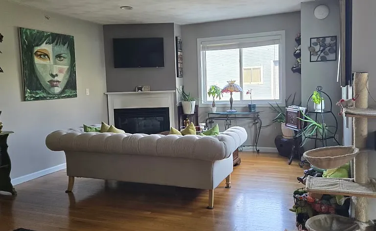 Brittania Cir — Photo 8