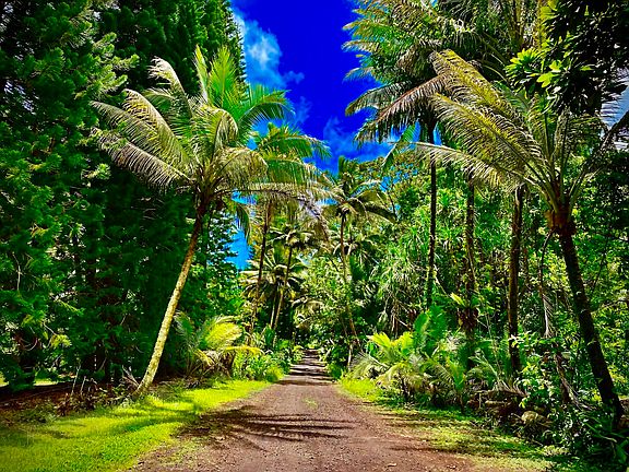 3rd image of 14-347 Papaya Farms Rd