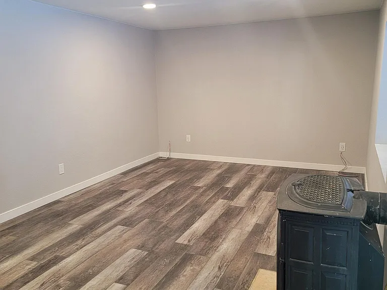 downstairs family room