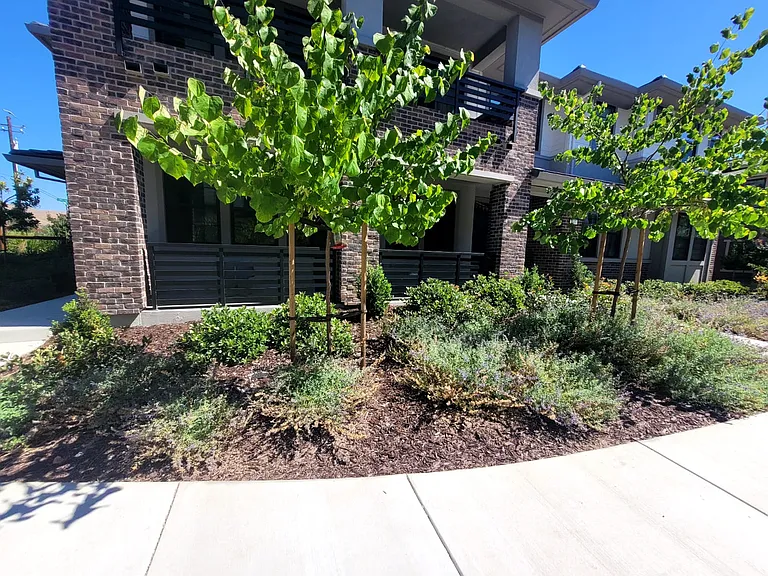 107 Limelight Ter — Photo 18