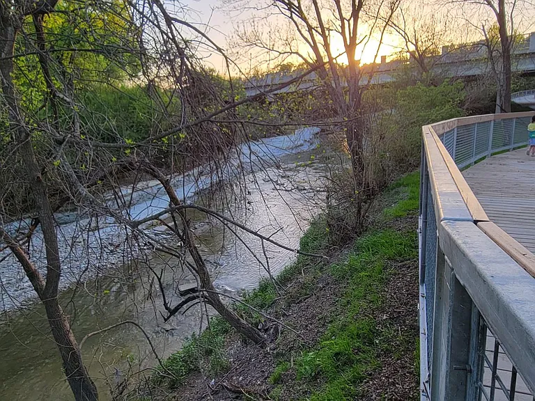 Beatiful creek with lots of firefly in the summer
