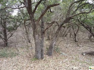 133 Winecup Ln, Spring Branch, TX 78070