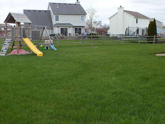Backyard (C)