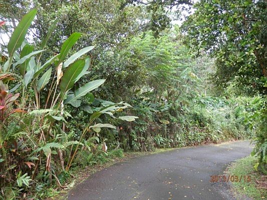 1st image of 273 Kaiulani St Lot 1-C